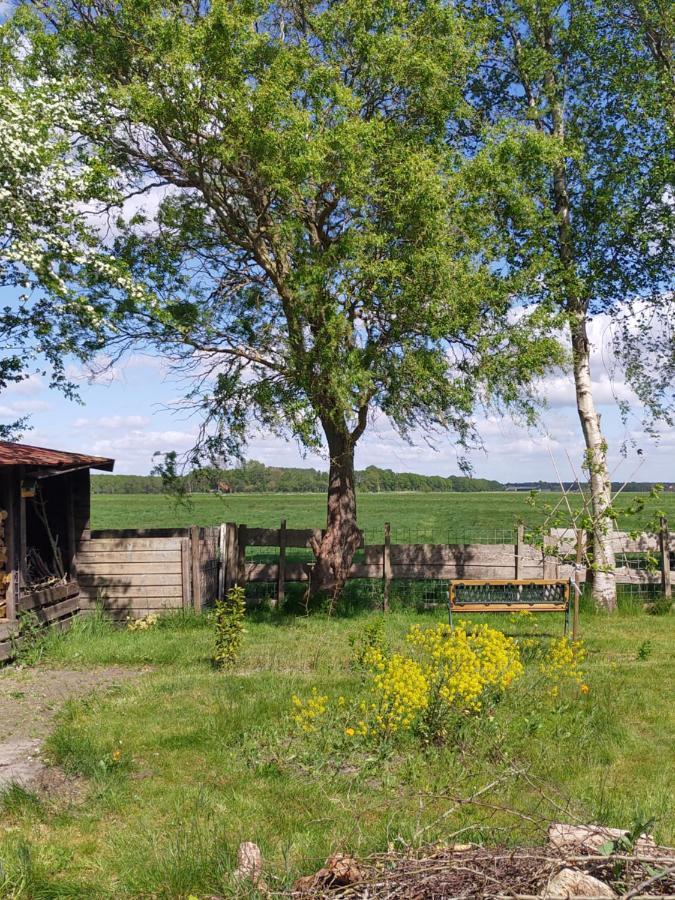 Boven De Wol Bed & Breakfast Appelscha Exterior foto